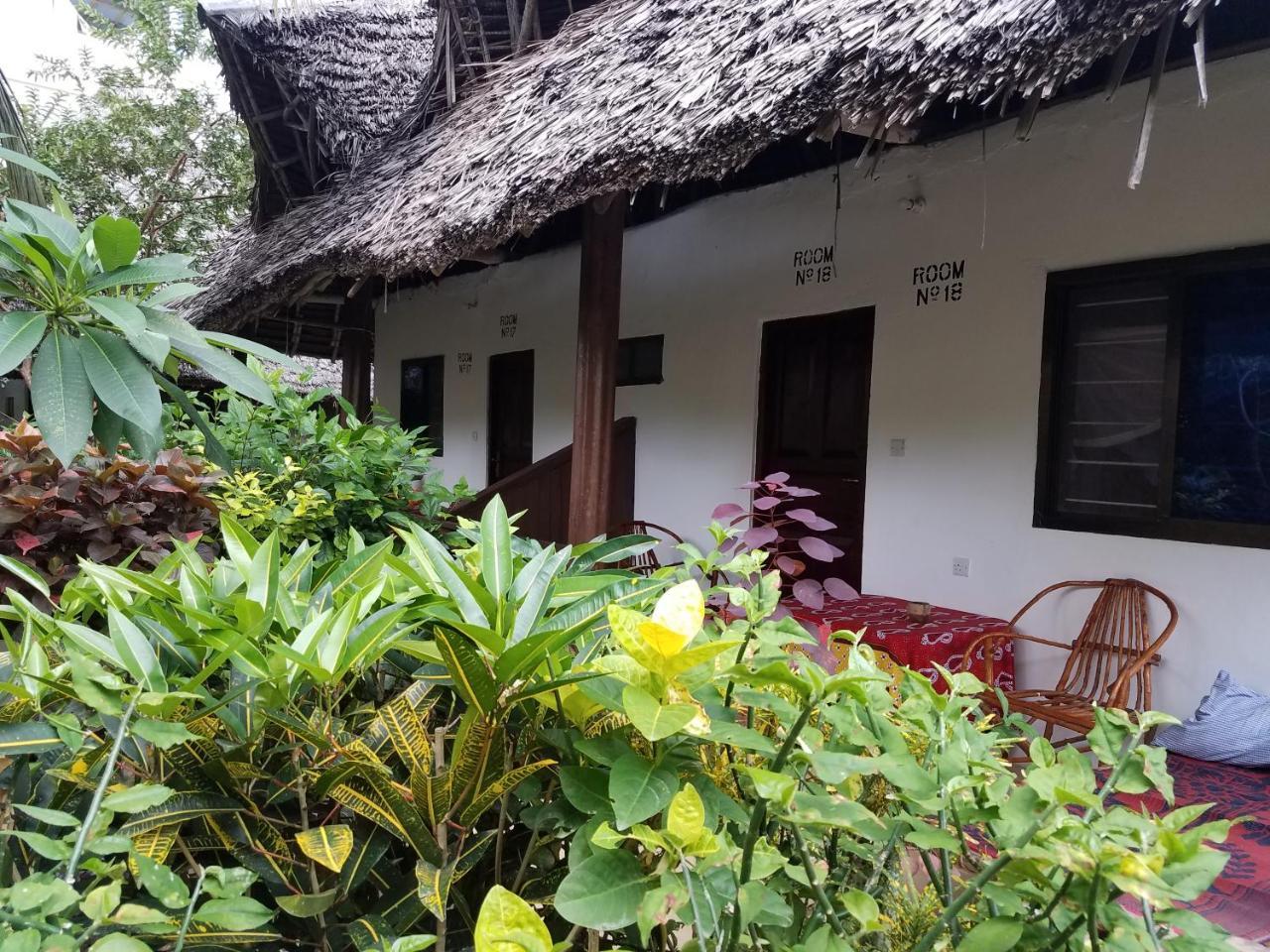 Baraka Beach Bungalows Nungwi Zewnętrze zdjęcie