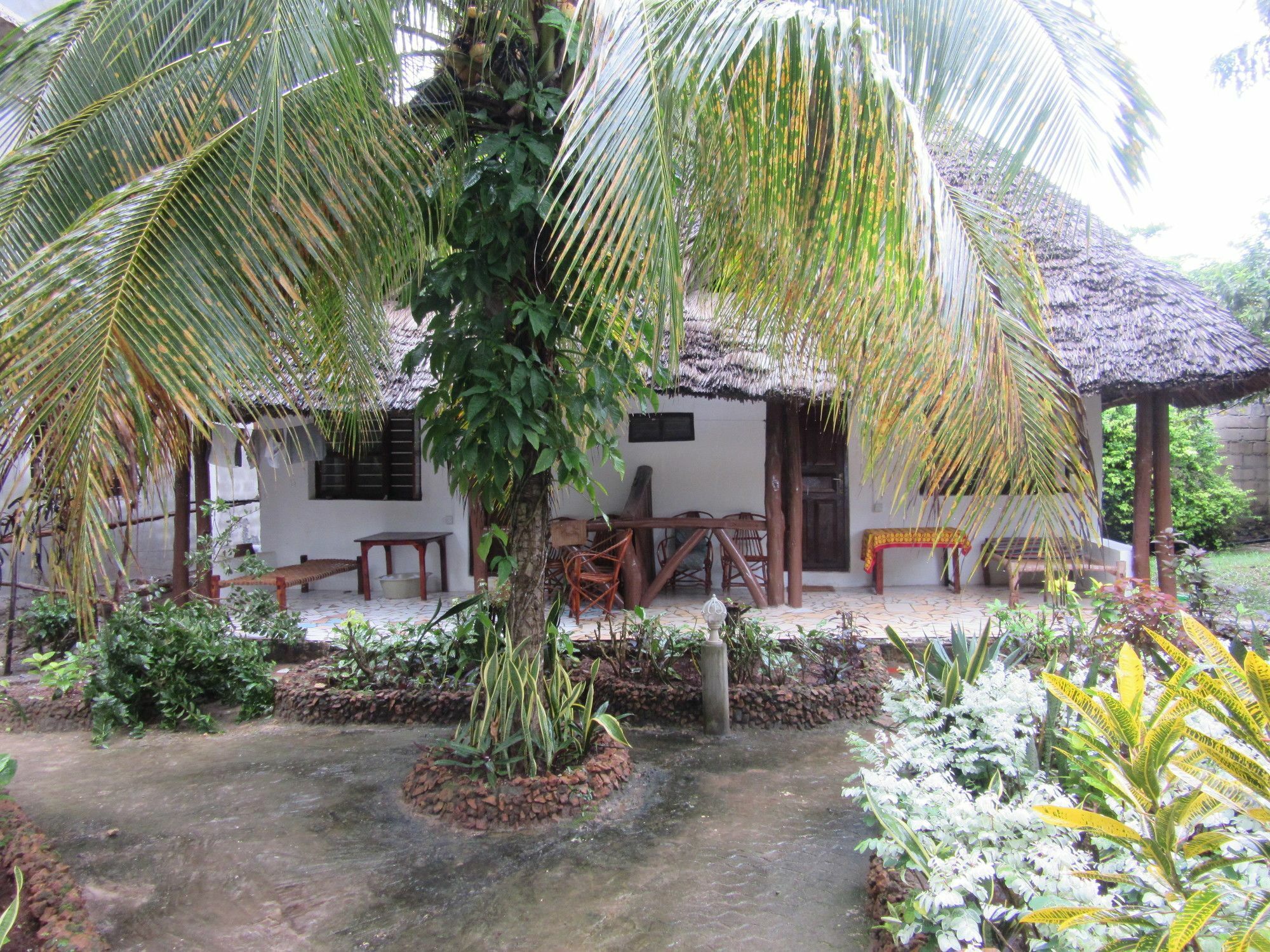 Baraka Beach Bungalows Nungwi Zewnętrze zdjęcie